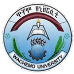 Wachemo University